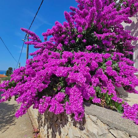 Silba Belvedere المظهر الخارجي الصورة